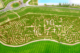 银娱优越会·GEG(中国)股份有限公司